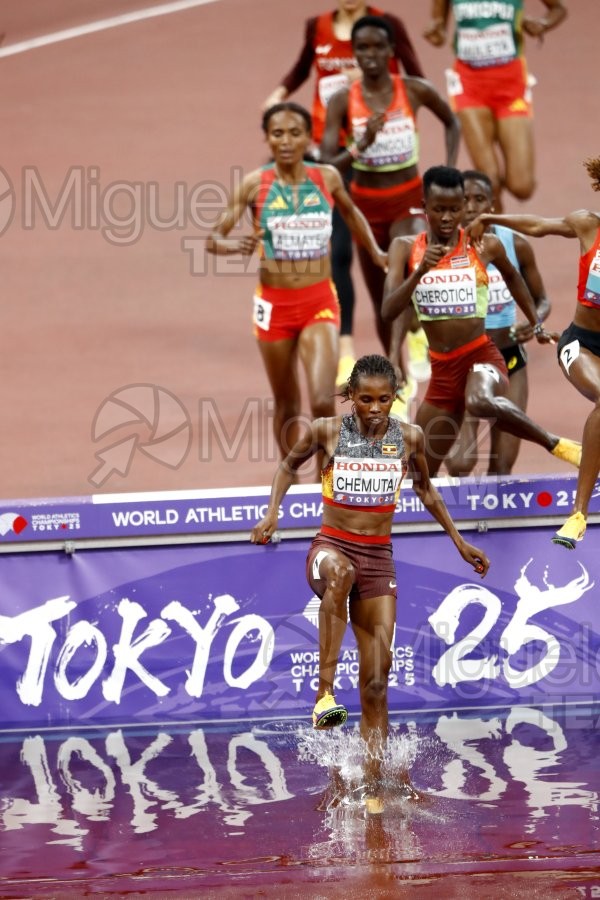 Campeonato del Mundo de Atletismo Absoluto al Aire Libre en (Tokio) 2025.