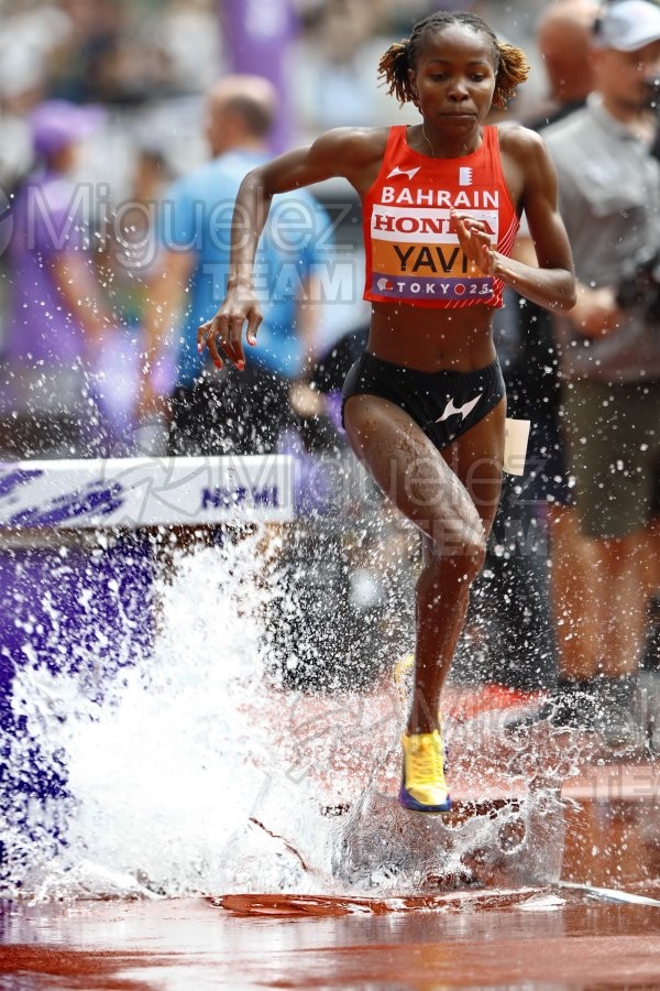 Campeonato del Mundo de Atletismo Absoluto al Aire Libre en (Tokio) 2025.