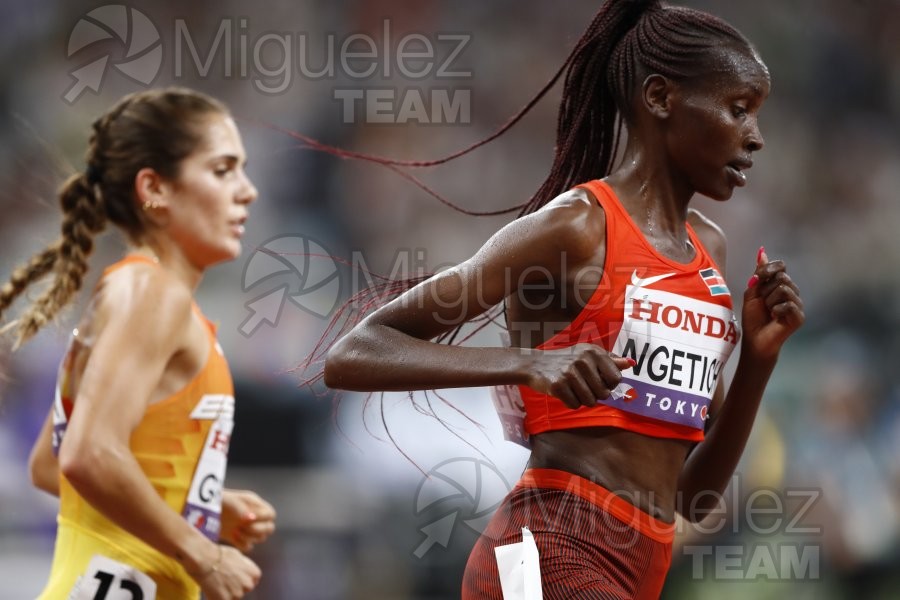 Campeonato del Mundo de Atletismo Absoluto al Aire Libre en (Tokio) 2025.