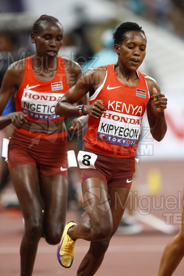 Campeonato del Mundo de Atletismo Absoluto al Aire Libre en (Tokio) 2025.