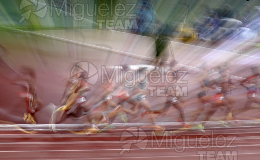 Campeonato del Mundo de Atletismo Absoluto al Aire Libre en (Tokio) 2025.