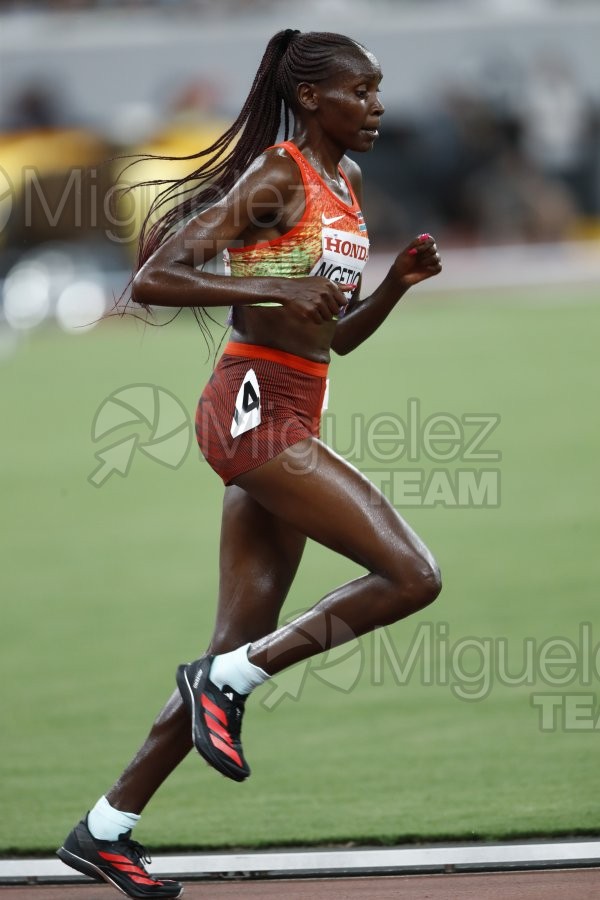Campeonato del Mundo de Atletismo Absoluto al Aire Libre en (Tokio) 2025.