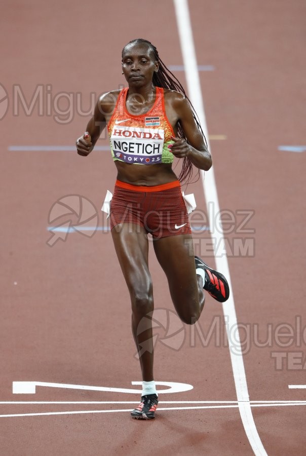 Campeonato del Mundo de Atletismo Absoluto al Aire Libre en (Tokio) 2025.