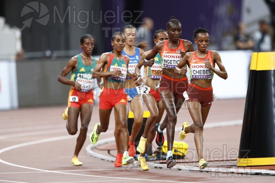 Campeonato del Mundo de Atletismo Absoluto al Aire Libre en (Tokio) 2025.