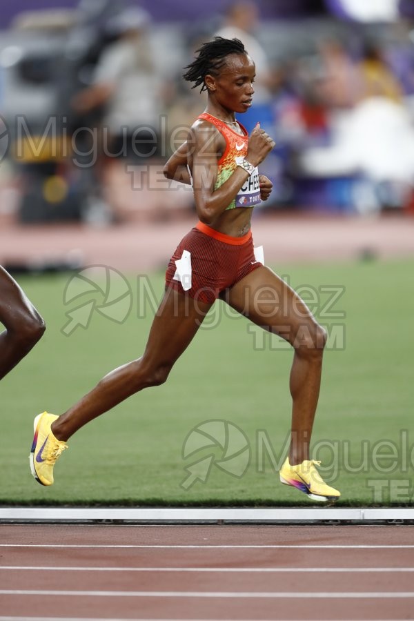 Campeonato del Mundo de Atletismo Absoluto al Aire Libre en (Tokio) 2025.
