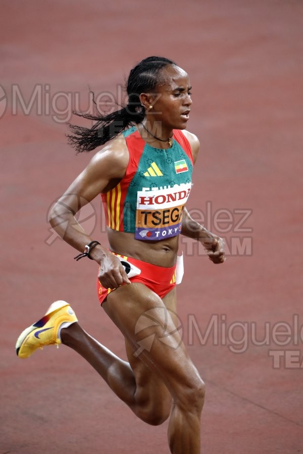 Campeonato del Mundo de Atletismo Absoluto al Aire Libre en (Tokio) 2025.