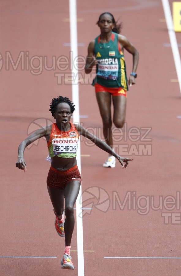 Campeonato del Mundo de Atletismo Absoluto al Aire Libre en (Tokio) 2025.