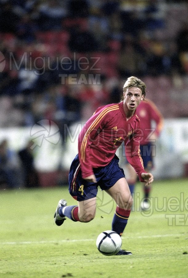 Partido amistoso entre ESPAÑA-DINAMARCA, Gijón 2004.