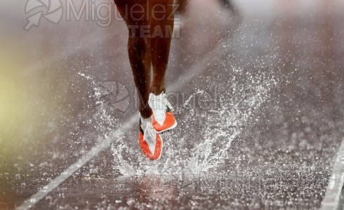 Campeonato del Mundo de Atletismo Absoluto al Aire Libre en (Tokio) 2025.