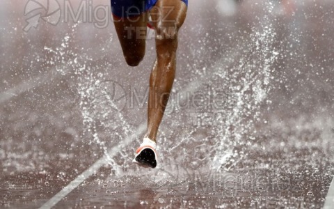 Campeonato del Mundo de Atletismo Absoluto al Aire Libre en (Tokio) 2025.