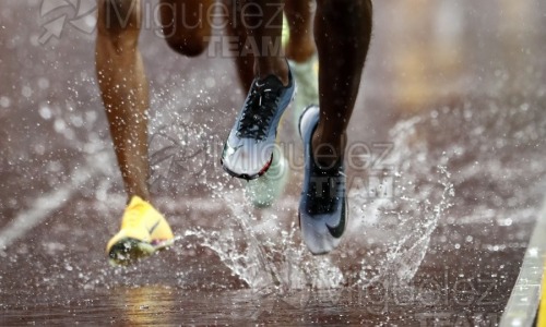 Campeonato del Mundo de Atletismo Absoluto al Aire Libre en (Tokio) 2025.