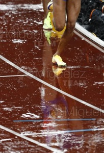 Campeonato del Mundo de Atletismo Absoluto al Aire Libre en (Tokio) 2025.