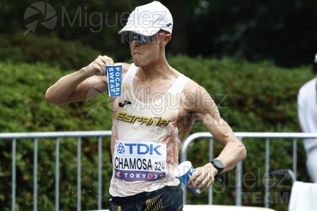 Campeonato del Mundo de Atletismo Absoluto al Aire Libre en (Tokio) 2025.