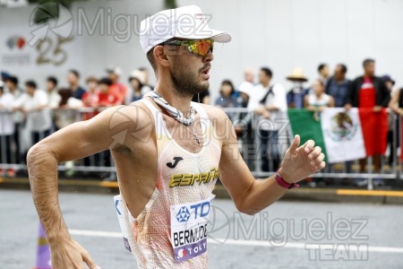 Campeonato del Mundo de Atletismo Absoluto al Aire Libre en (Tokio) 2025.