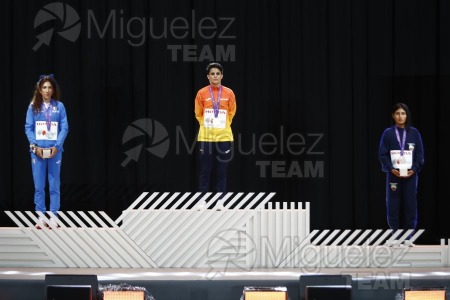 Campeonato del Mundo de Atletismo Absoluto al Aire Libre en (Tokio) 2025.