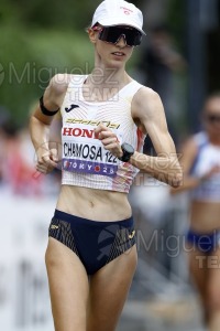 Campeonato del Mundo de Atletismo Absoluto al Aire Libre en (Tokio) 2025.