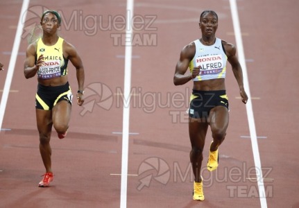 Campeonato del Mundo de Atletismo Absoluto al Aire Libre en (Tokio) 2025.