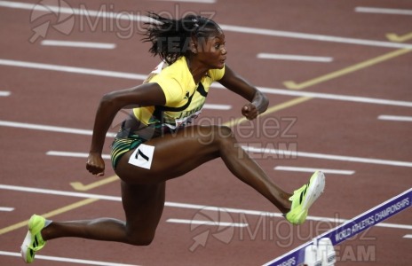 Campeonato del Mundo de Atletismo Absoluto al Aire Libre en (Tokio) 2025.