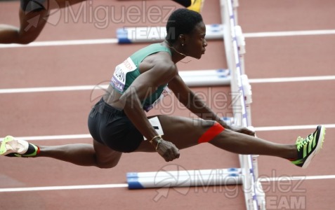 Campeonato del Mundo de Atletismo Absoluto al Aire Libre en (Tokio) 2025.