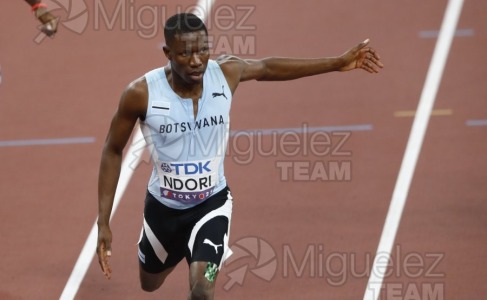 Campeonato del Mundo de Atletismo Absoluto al Aire Libre en (Tokio) 2025.