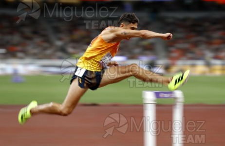 Campeonato del Mundo de Atletismo Absoluto al Aire Libre en (Tokio) 2025.