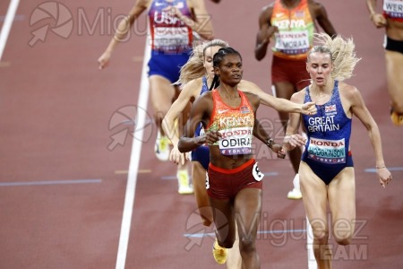 Campeonato del Mundo de Atletismo Absoluto al Aire Libre en (Tokio) 2025.