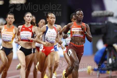 Campeonato del Mundo de Atletismo Absoluto al Aire Libre en (Tokio) 2025.