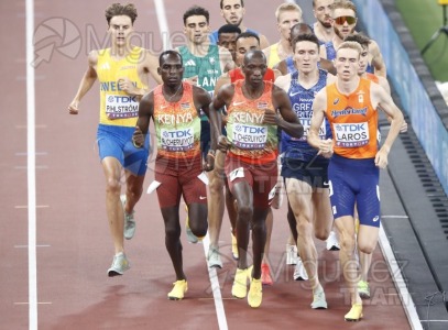 Campeonato del Mundo de Atletismo Absoluto al Aire Libre en (Tokio) 2025.