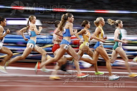 Campeonato del Mundo de Atletismo Absoluto al Aire Libre en (Tokio) 2025.