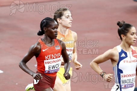 Campeonato del Mundo de Atletismo Absoluto al Aire Libre en (Tokio) 2025.