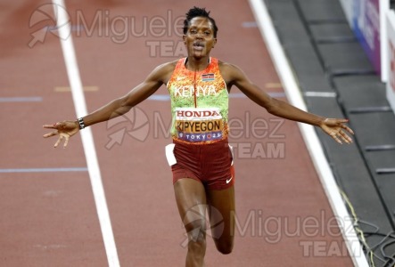 Campeonato del Mundo de Atletismo Absoluto al Aire Libre en (Tokio) 2025.