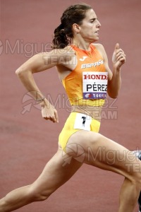 Campeonato del Mundo de Atletismo Absoluto al Aire Libre en (Tokio) 2025.