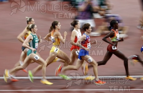 Campeonato del Mundo de Atletismo Absoluto al Aire Libre en (Tokio) 2025.