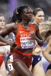 Campeonato del Mundo de Atletismo Absoluto al Aire Libre en (Tokio) 2025.