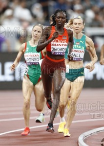 Campeonato del Mundo de Atletismo Absoluto al Aire Libre en (Tokio) 2025.