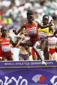 Campeonato del Mundo de Atletismo Absoluto al Aire Libre en (Tokio) 2025.
