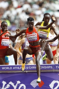 Campeonato del Mundo de Atletismo Absoluto al Aire Libre en (Tokio) 2025.