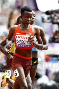 Campeonato del Mundo de Atletismo Absoluto al Aire Libre en (Tokio) 2025.