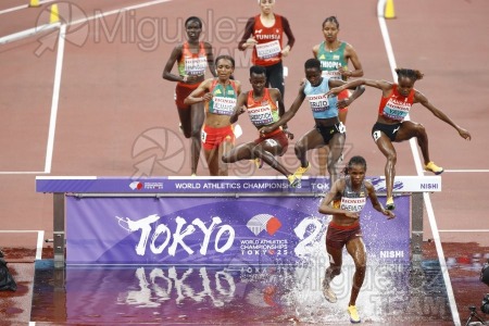 Campeonato del Mundo de Atletismo Absoluto al Aire Libre en (Tokio) 2025.
