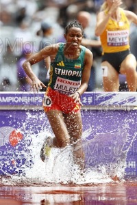 Campeonato del Mundo de Atletismo Absoluto al Aire Libre en (Tokio) 2025.