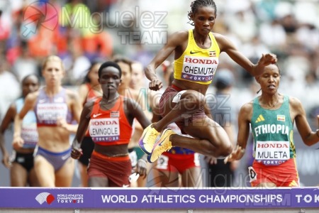 Campeonato del Mundo de Atletismo Absoluto al Aire Libre en (Tokio) 2025.