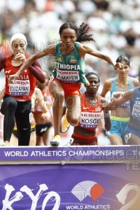 Campeonato del Mundo de Atletismo Absoluto al Aire Libre en (Tokio) 2025.