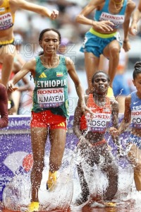 Campeonato del Mundo de Atletismo Absoluto al Aire Libre en (Tokio) 2025.