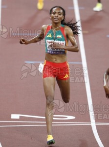 Campeonato del Mundo de Atletismo Absoluto al Aire Libre en (Tokio) 2025.