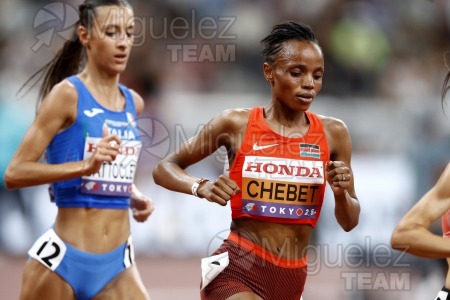 Campeonato del Mundo de Atletismo Absoluto al Aire Libre en (Tokio) 2025.