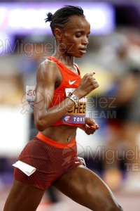 Campeonato del Mundo de Atletismo Absoluto al Aire Libre en (Tokio) 2025.