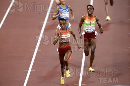 Campeonato del Mundo de Atletismo Absoluto al Aire Libre en (Tokio) 2025.
