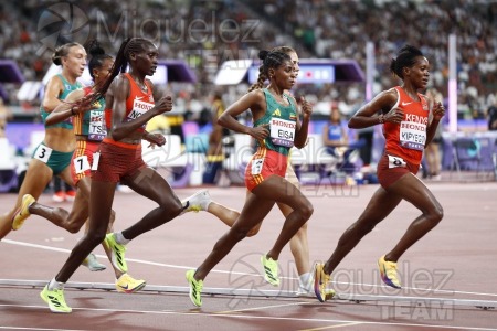 Campeonato del Mundo de Atletismo Absoluto al Aire Libre en (Tokio) 2025.