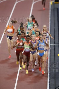 Campeonato del Mundo de Atletismo Absoluto al Aire Libre en (Tokio) 2025.