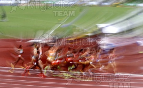 Campeonato del Mundo de Atletismo Absoluto al Aire Libre en (Tokio) 2025.